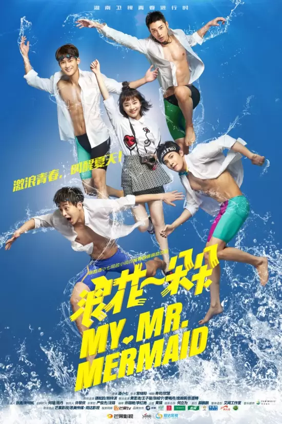 My Mr. Mermaid
