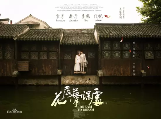 Dream To Dream (2017)
