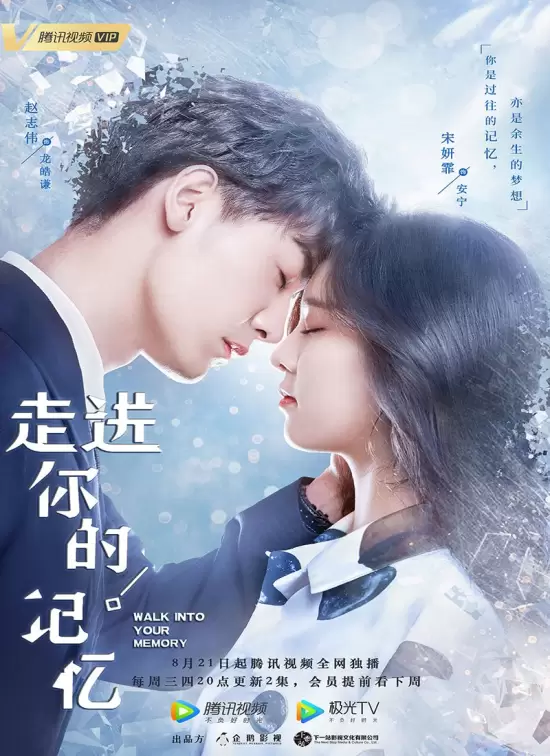 Walk Into Your Memory (2019)