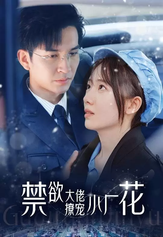 Jin Yu Da Lao Kuang Liao Xiao Chang Hua